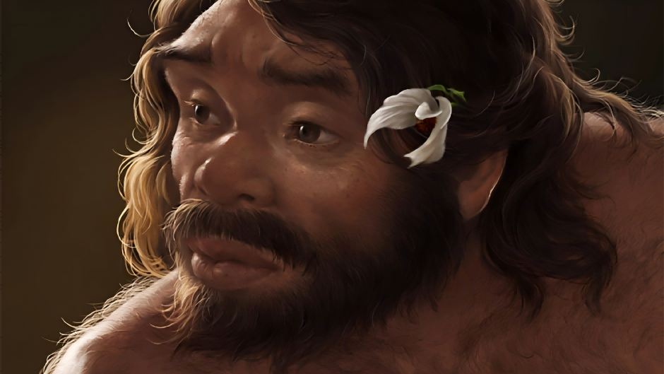 百萬(wàn)年前頭骨化石改寫(xiě)人類(lèi)家譜 ?中國(guó)新研究刷新人類(lèi)演化時(shí)間線(xiàn)，證實(shí)丹尼索瓦人屬于龍人支系